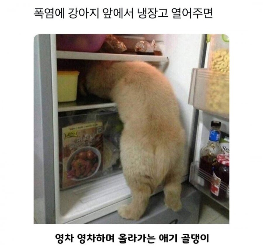 900w_20250722170017_xS6hCrKcKu.jpg?v=7