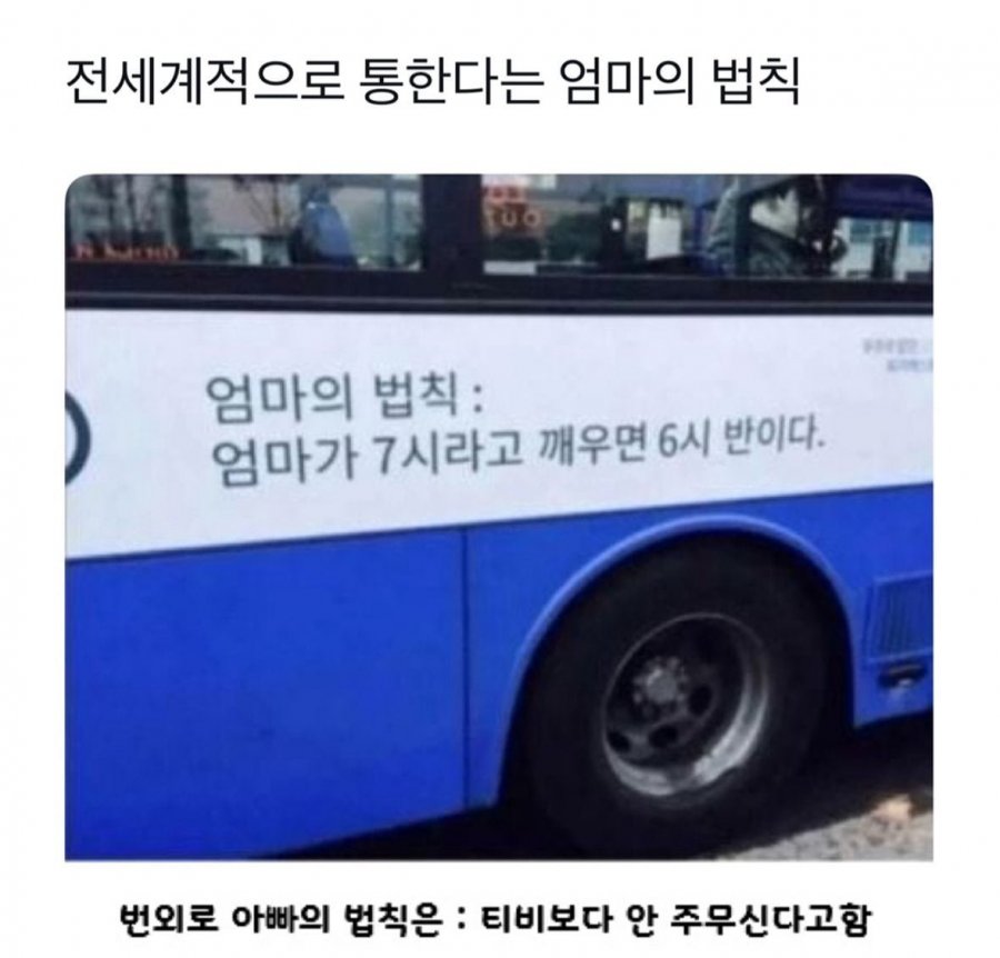 900w_20250723112919_CLIpQYSjwb.jpg?v=7
