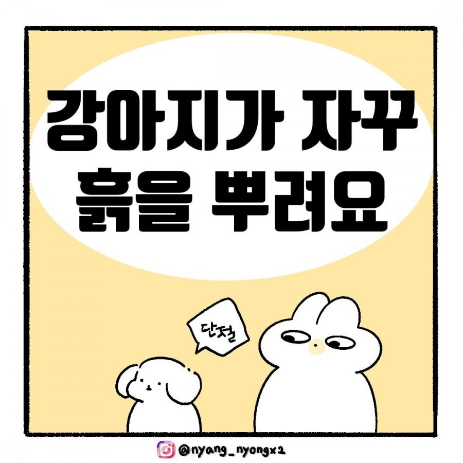 900w_20250723192613_HYL11HJdze.jpg?v=7