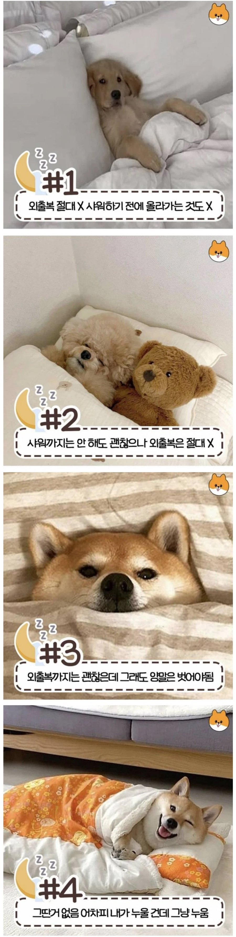 900w_20250724233233_hMWnwPadR3.jpg?v=7