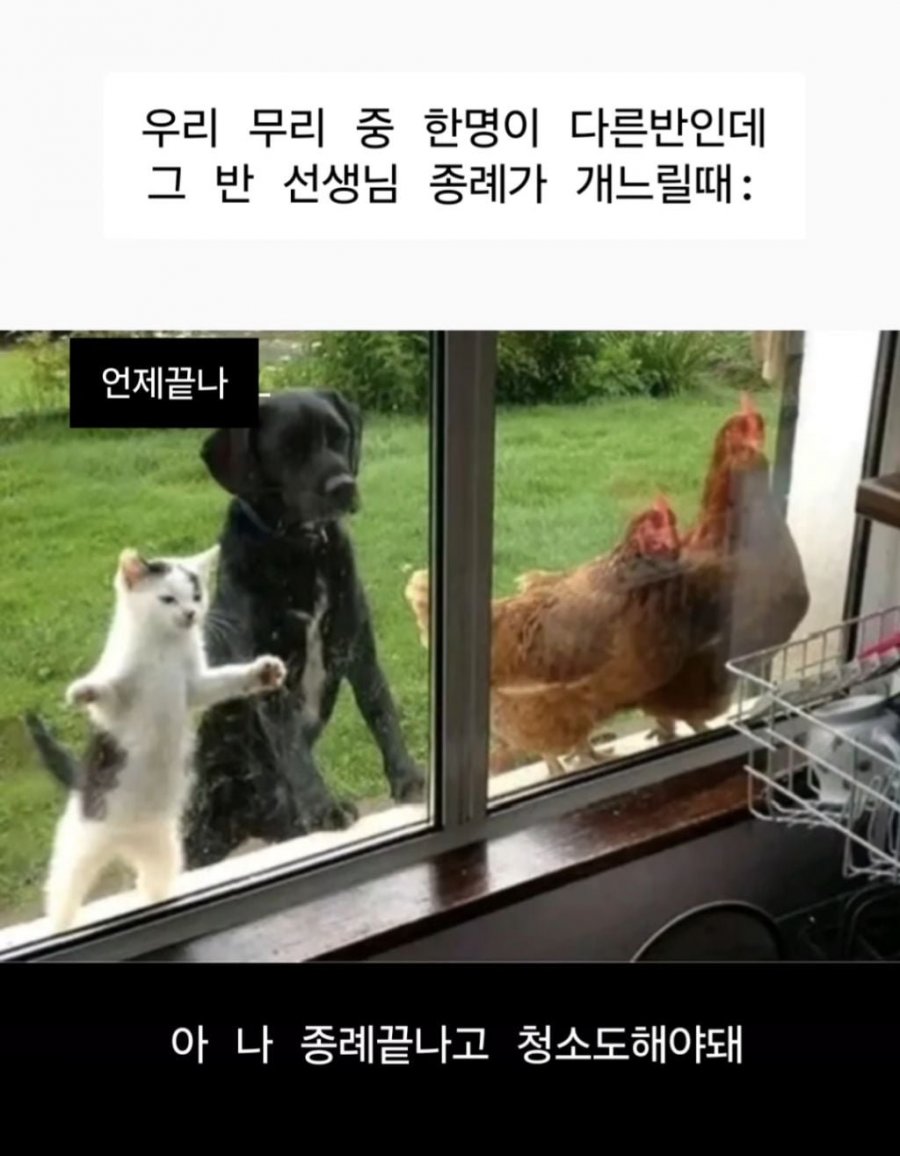 900w_20250725140744_aRhWNXKuJT.jpeg?v=7