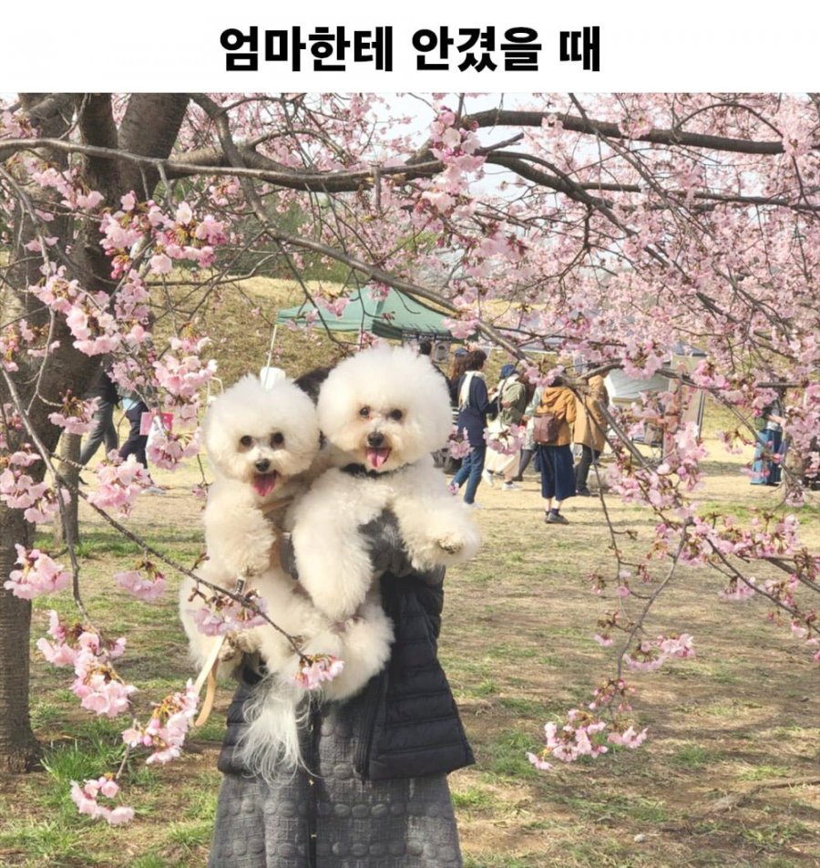900w_20250728150409_SN2IAyA1WK.png?v=7