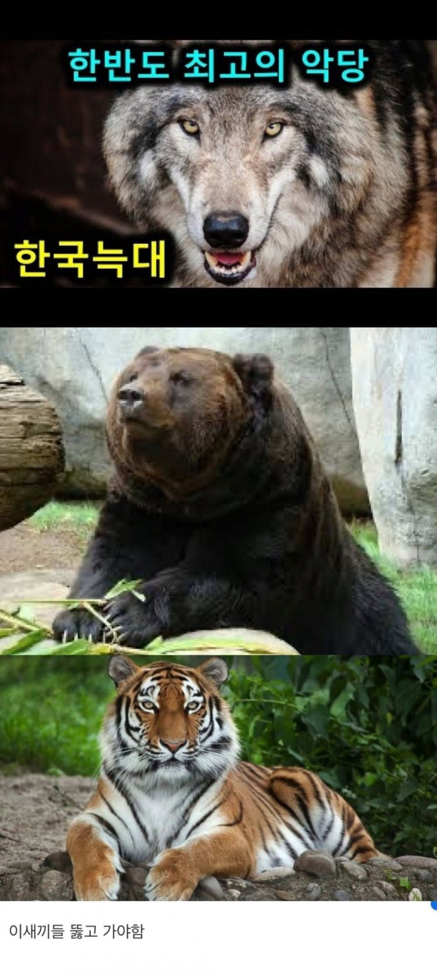 900w_20250728185404_V9tE8iYsIu.png?v=7