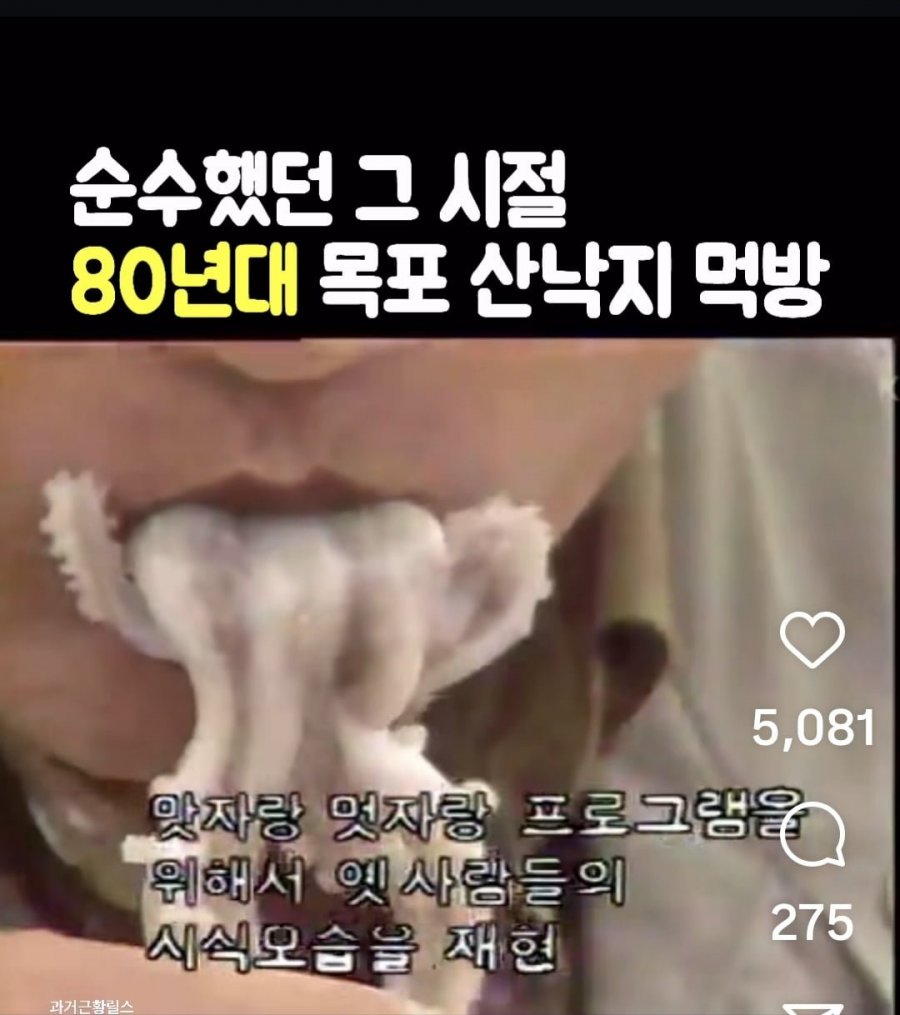 900w_20250731183546_Kuy3tfEAQY.jpg?v=7