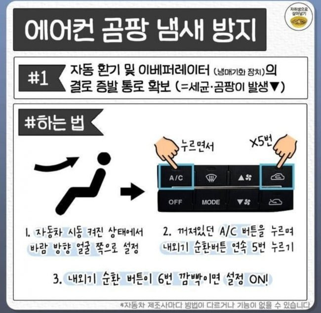 bt3e0fceb02900eb893dbe5e00b3c01f5b.jpg?v=7