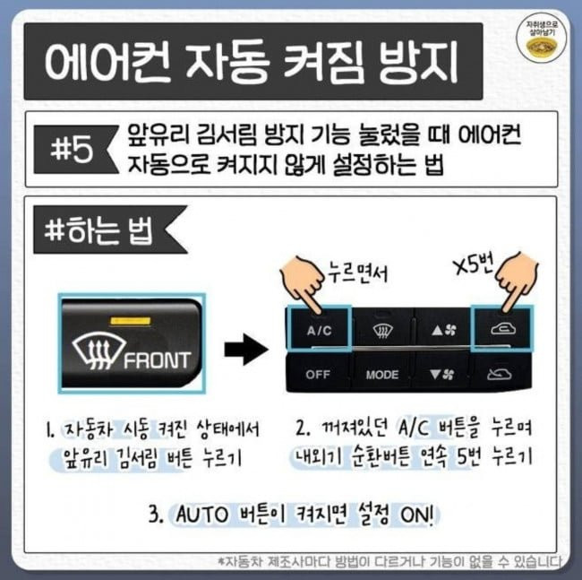 btda4e7dd568adba5b37074e5c493e8c61.jpg?v=7
