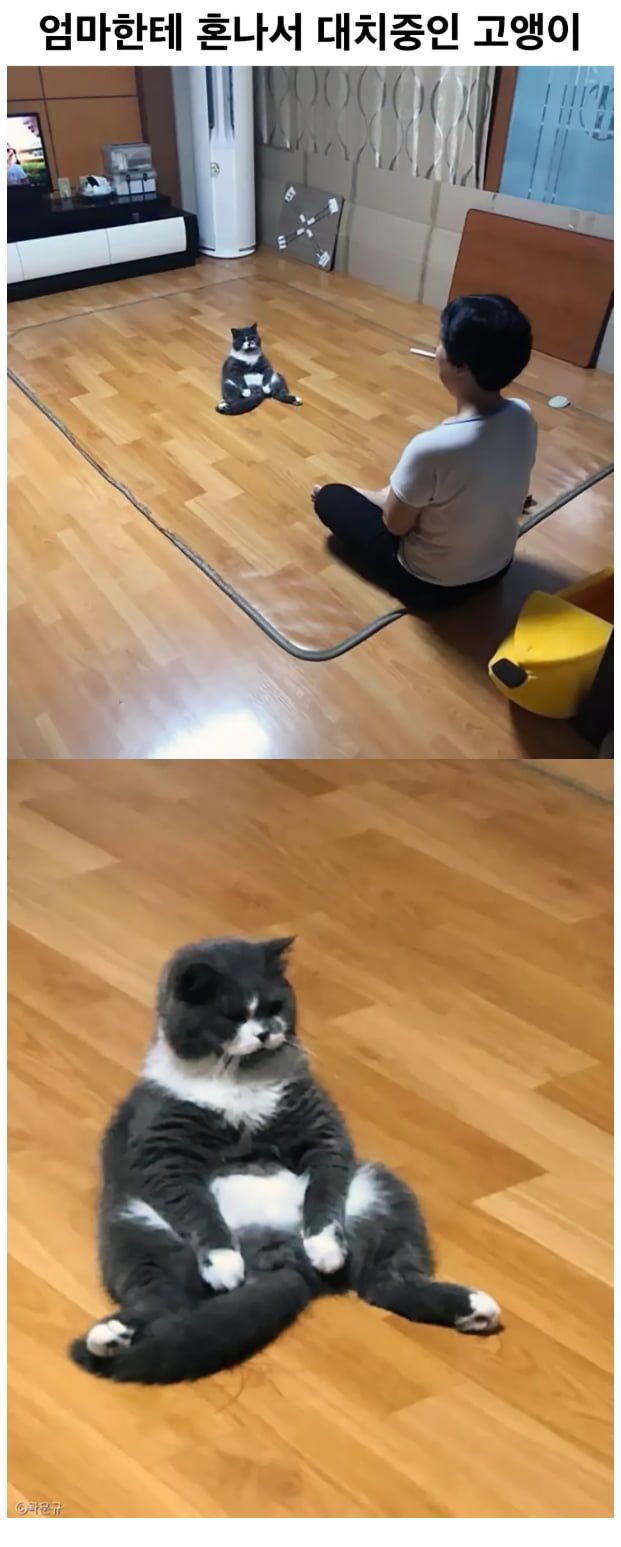 20250801165508_5W94B0e6y2.png?v=7