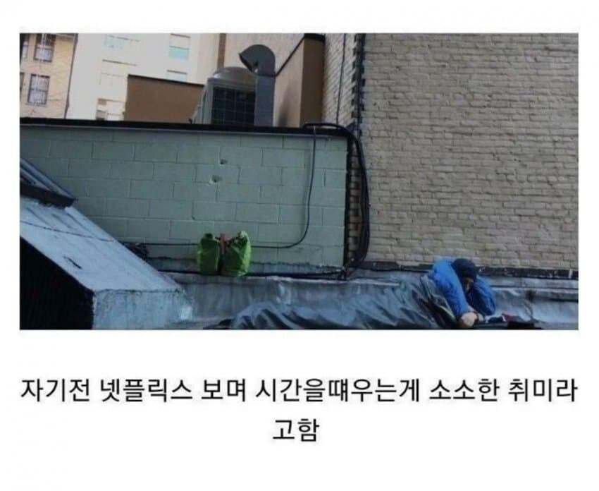 20250805103214_Sjb3jityDO.jpg?v=7