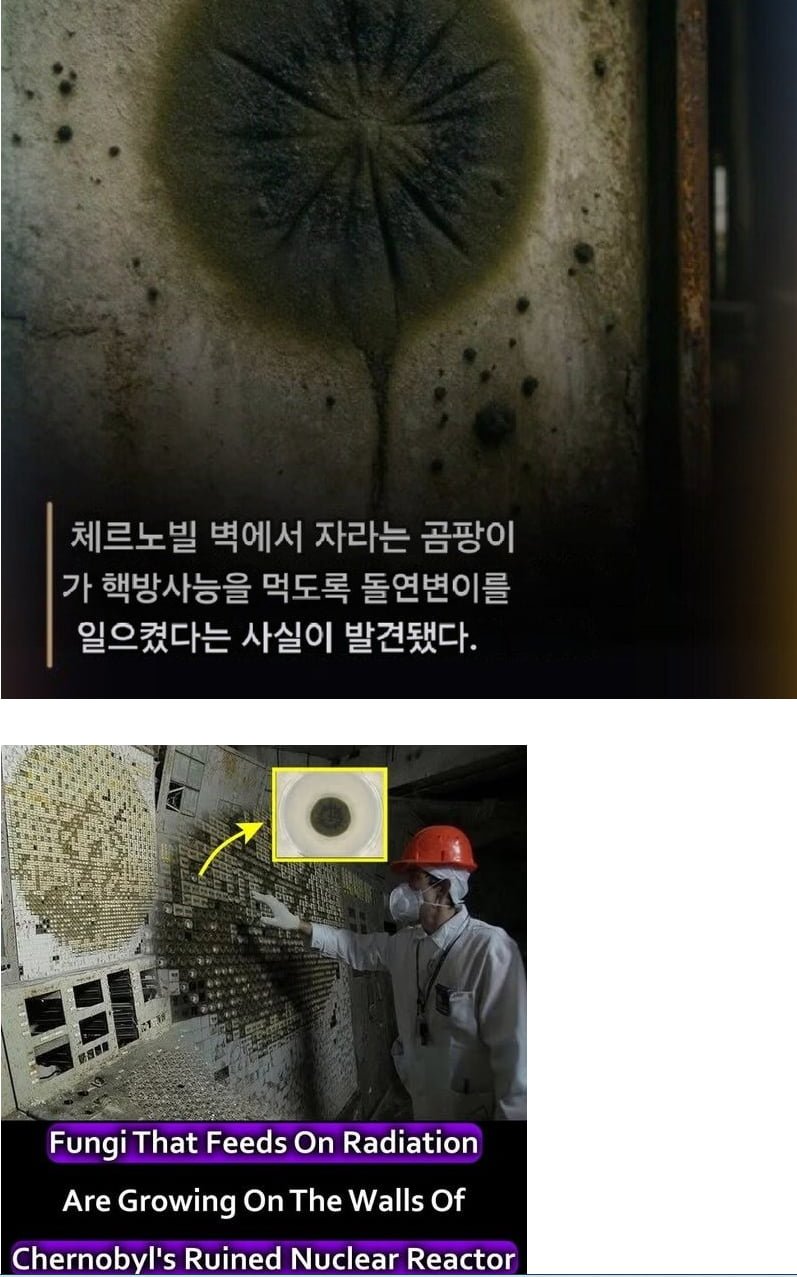 20250805113901_JJ7k0FKEtt.png?v=7