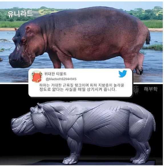 20250805154748_Yj0E6x9dEQ.png?v=7
