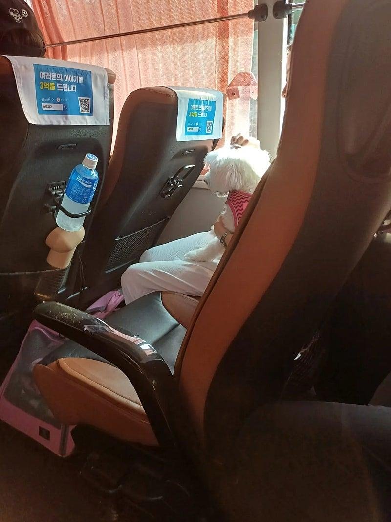 20250807111533_Js6uCyUKr0.jpeg?v=7