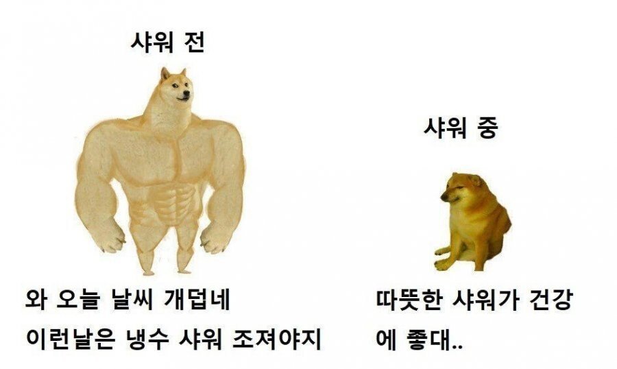 20250807111618_TqjtUMUEwF.jpg?v=7