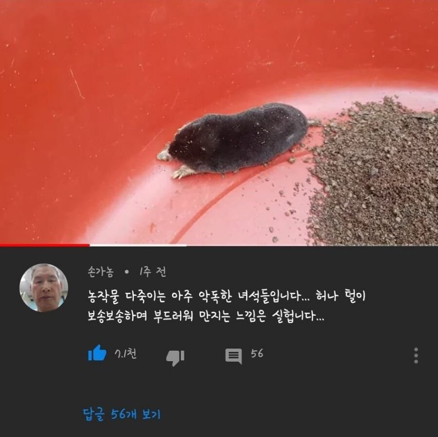 20250807121021_hioPpGetez.jpg?v=7