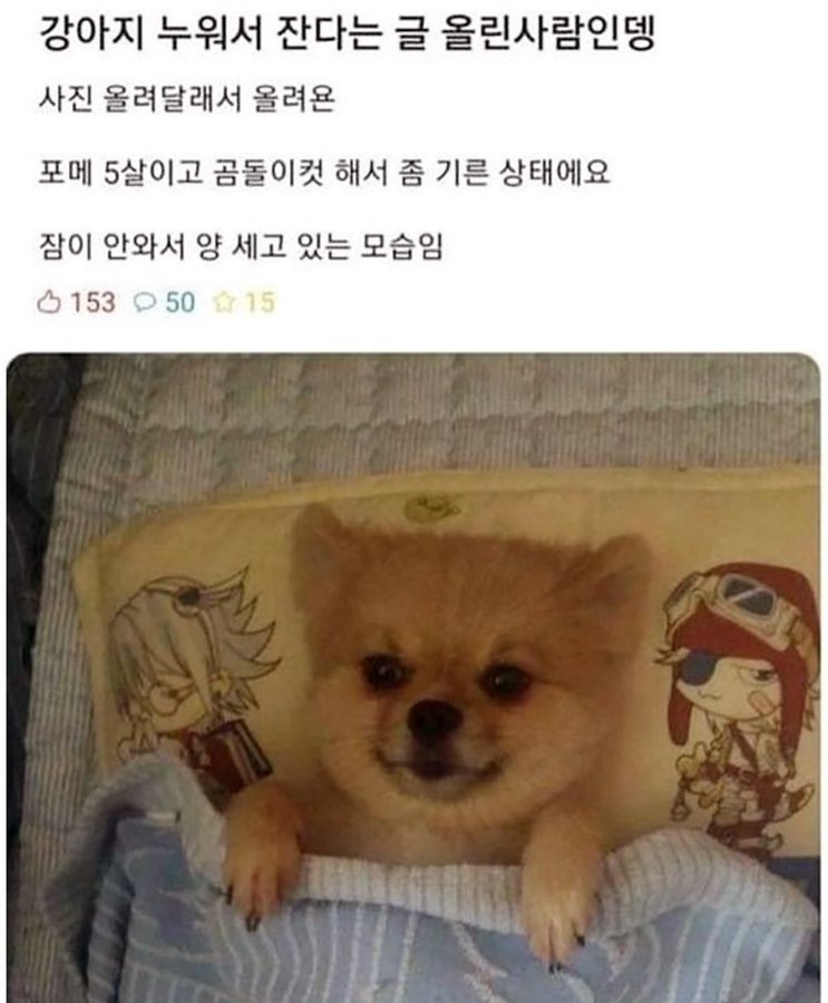 20250807141656_ZPn3TRmAsA.jpg?v=7