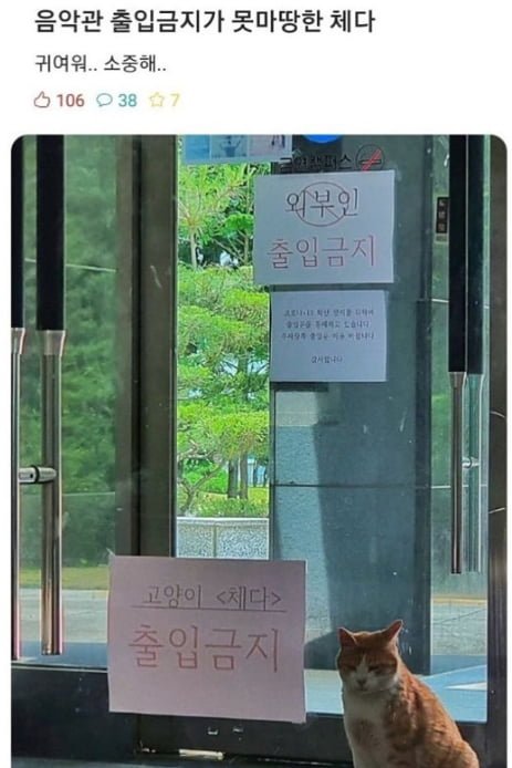 20250808153127_fg5GzPUNgP.png?v=7