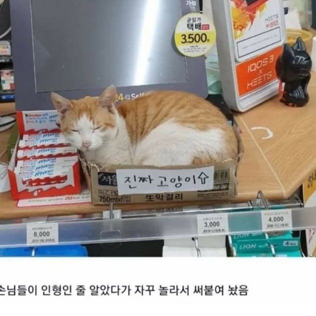 20250812162242_t7a6jEnQqX.jpg?v=7