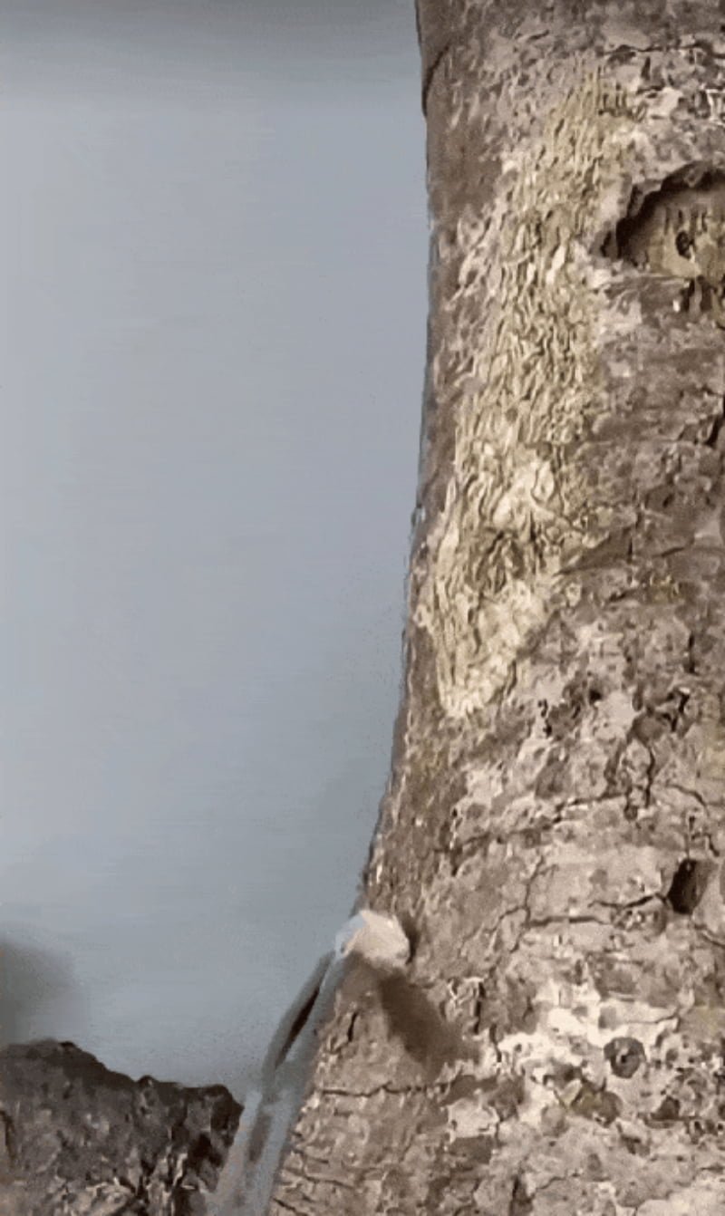 20250813122641_uSV3l2hsMI.png?v=7