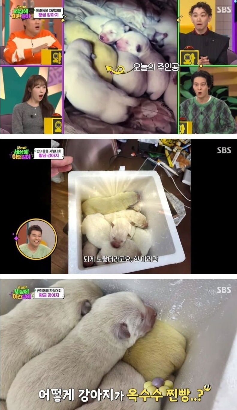 20250813130159_A5sxiOh3Dw.png?v=7