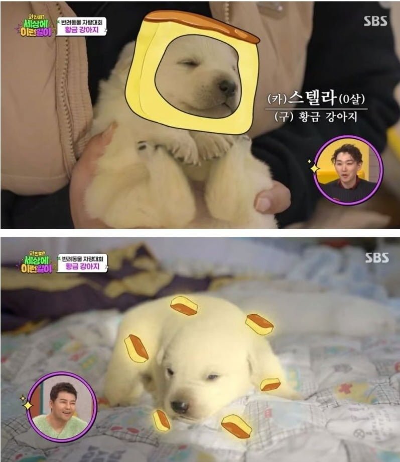 20250813130203_nQdR6kjyve.png?v=7
