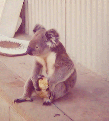 20250813214652_m9Xf4zEstr.gif?v=7