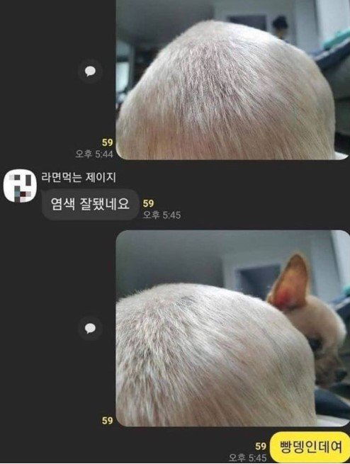 20250813235929_rvz0OoY094.jpg?v=7