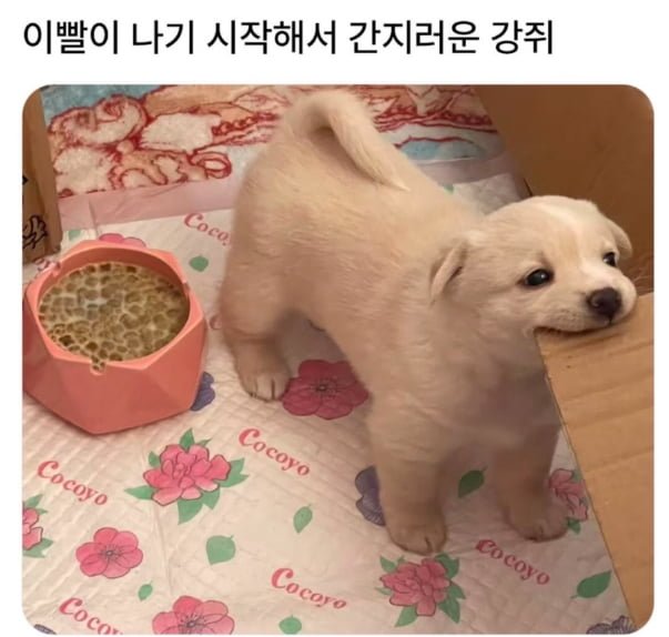 20250815002853_0LsgxI4Qh8.png?v=7