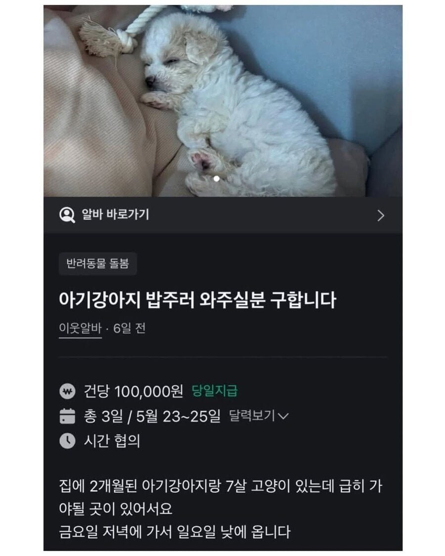20250815205800_PzkKGp3shH.jpeg?v=7
