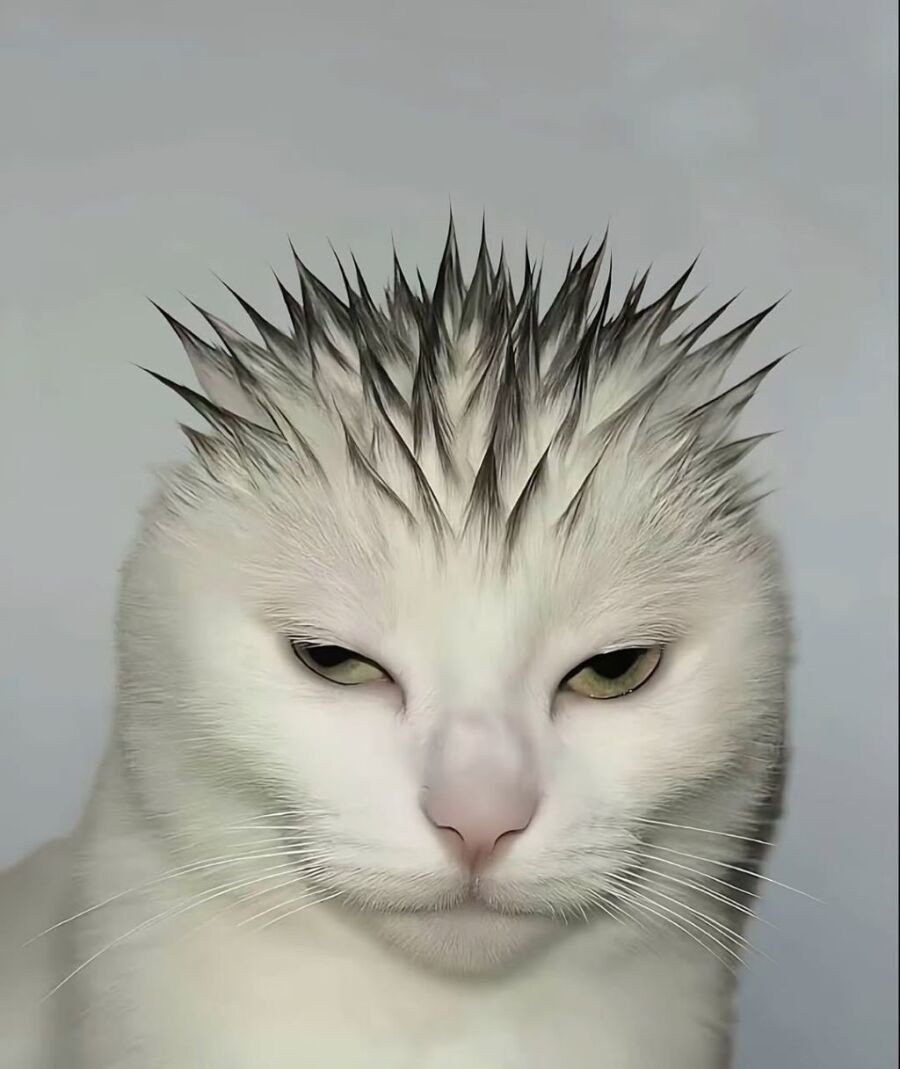 20250817091655_e8Sjgdtn0B.jpeg?v=7