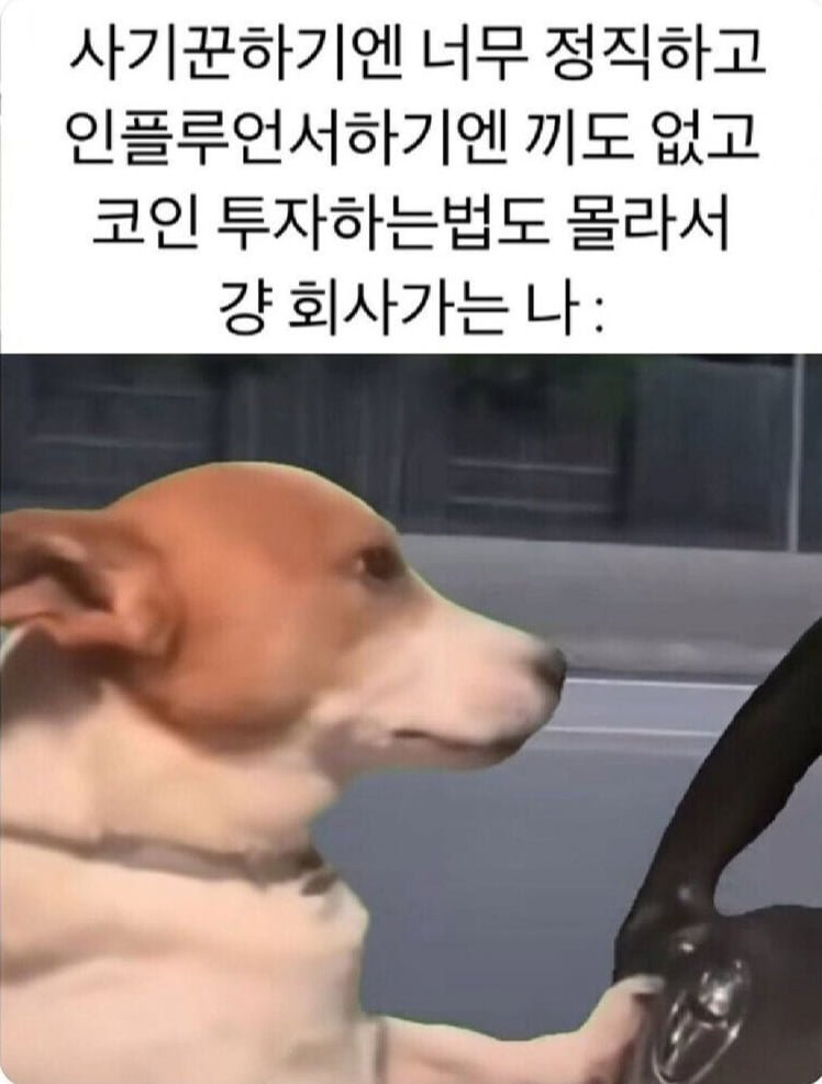 20250819130611_ZwSblhW3FX.png?v=7
