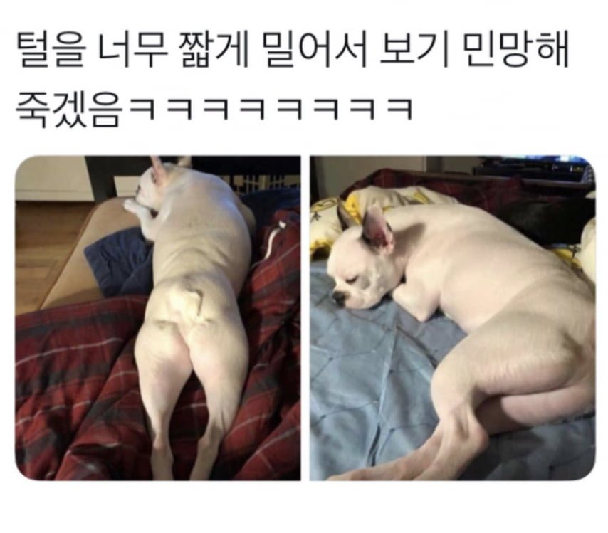 20250819134257_hHmyryA3Mo.png?v=7