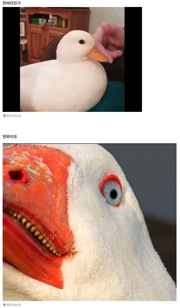 20250822132223_HW30RmS8Mm.png?v=7