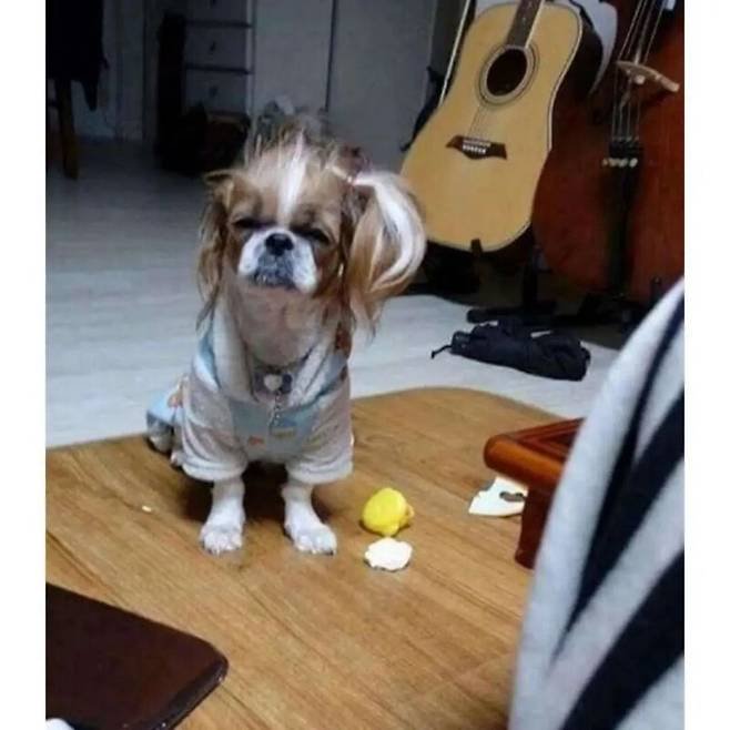 20250822222739_JslaNyqhD4.jpeg?v=7
