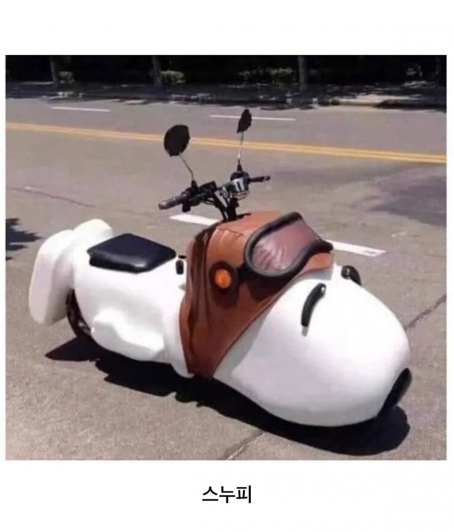 900w_20250804155251_PMRiBZt7dn.jpeg?v=7