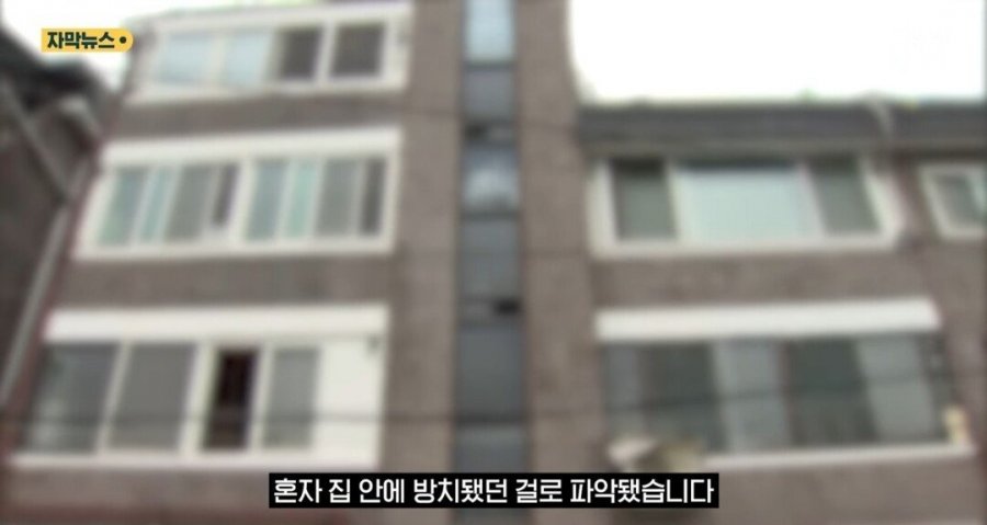 900w_20250804180627_m5tIW0YlIU.jpg?v=7