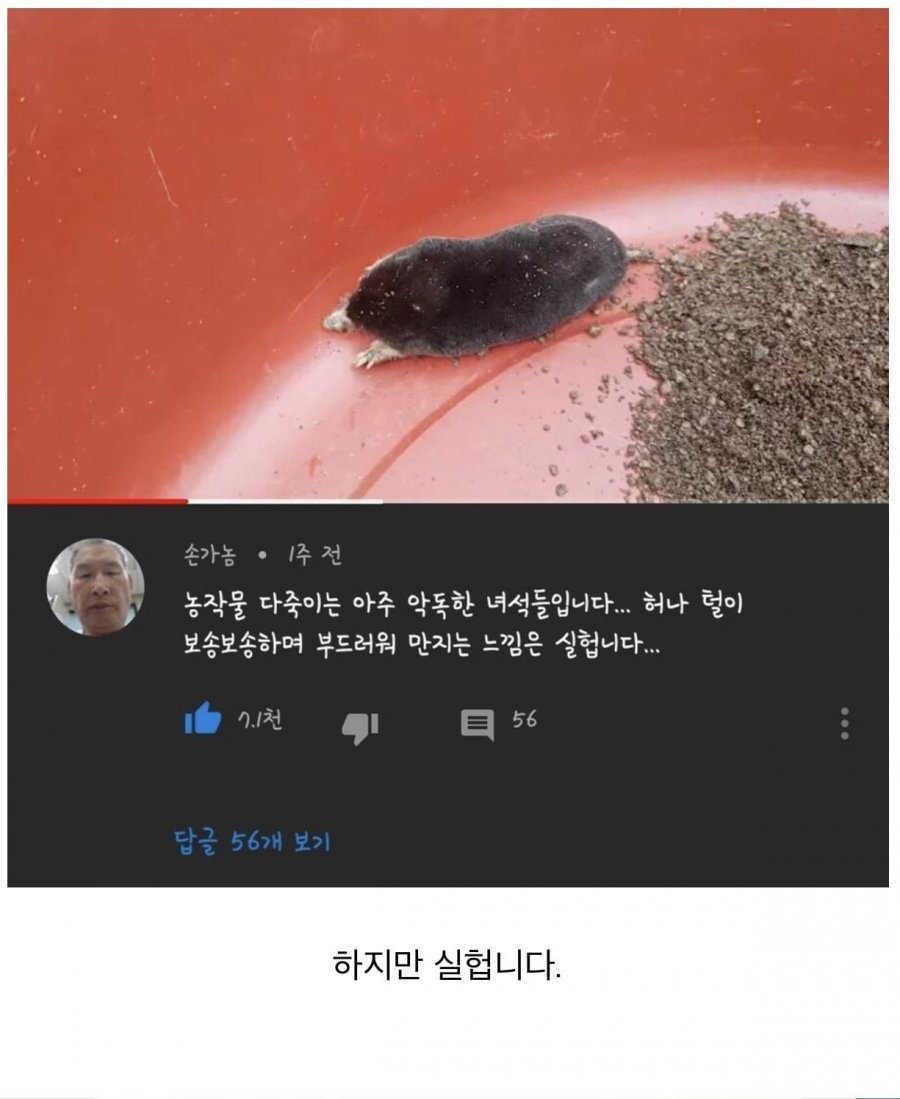 900w_20250806234431_pOXgZioAn4.jpeg?v=7