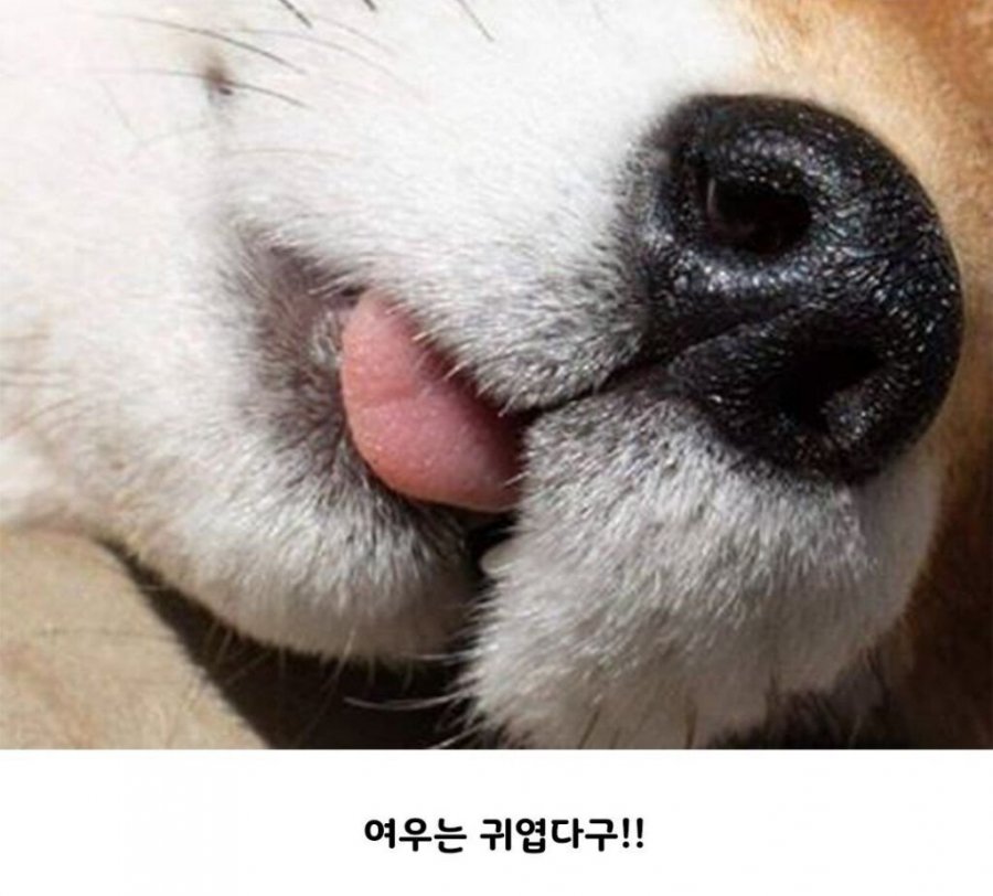 900w_20250807135742_6f8QWDcAWF.jpeg?v=7