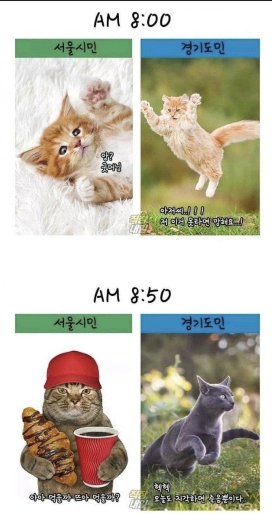 900w_20250807163458_2YZd0w4S6W.png?v=7