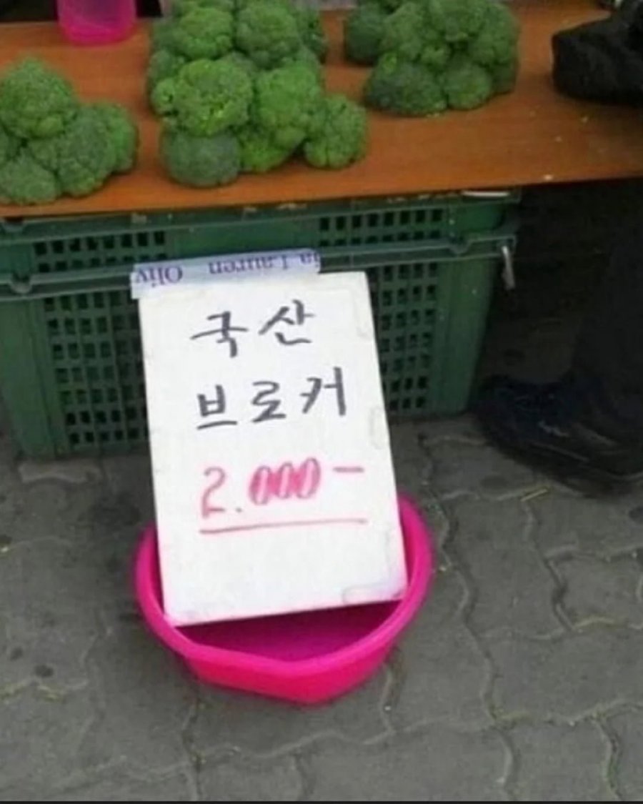 900w_20250811171355_uUlk7BCFej.png?v=7
