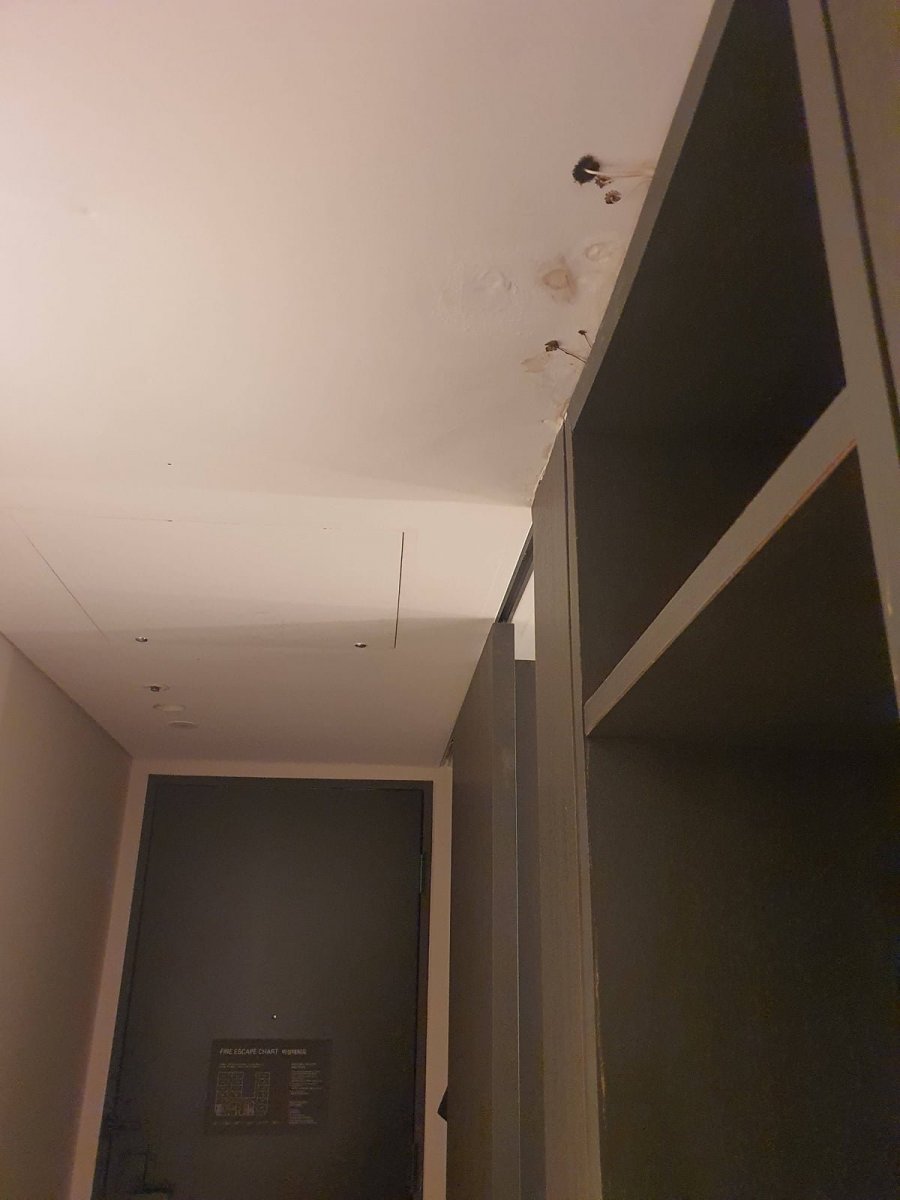 900w_20250813064614_6GwiQI1bEi.jpg?v=7