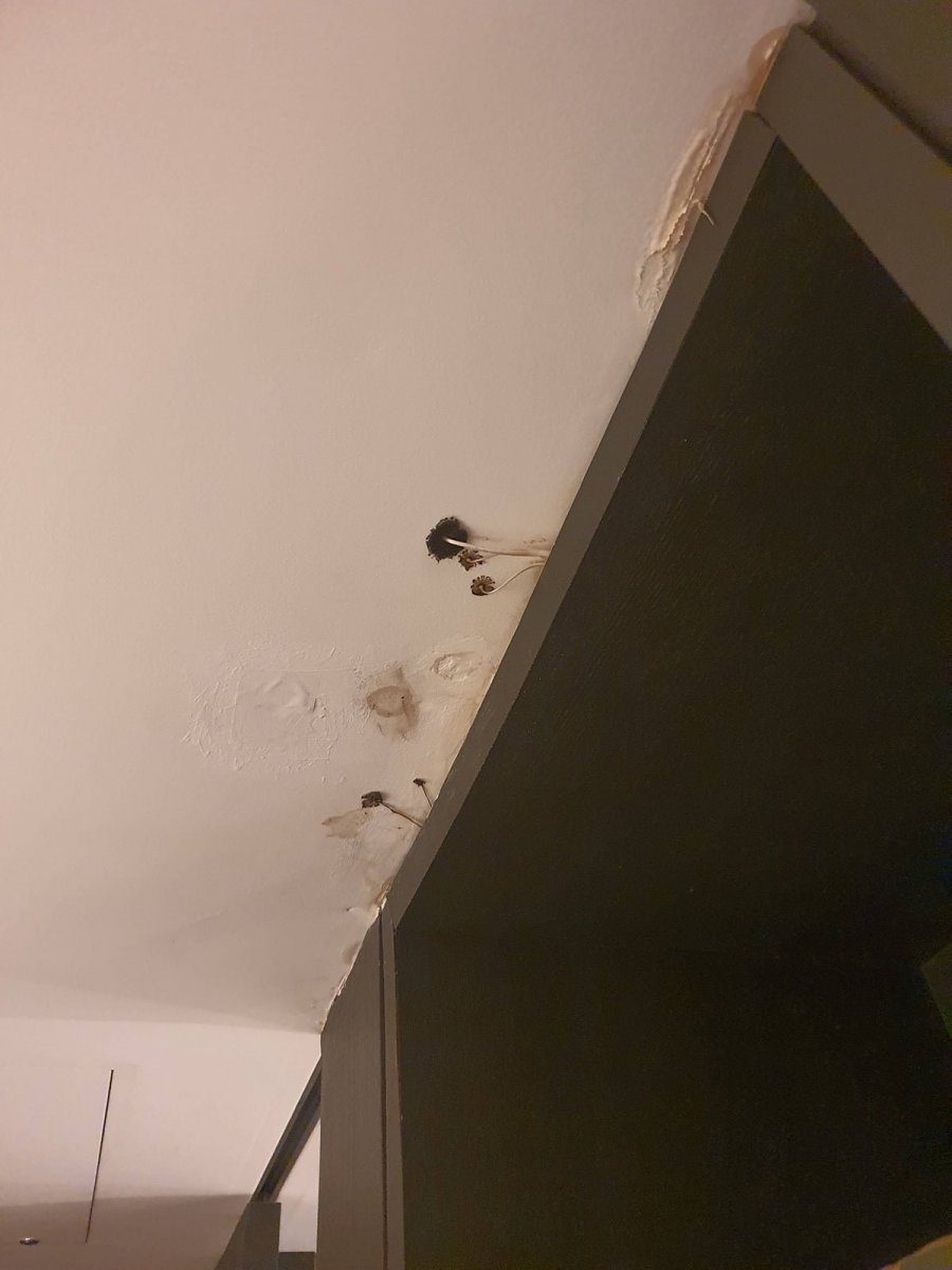 900w_20250813064617_1RusHECv3x.jpg?v=7