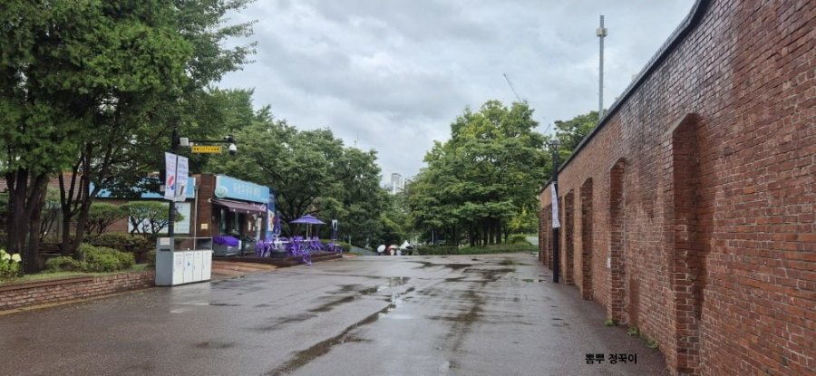 900w_20250813212852_EOueUkThRN.jpg?v=7