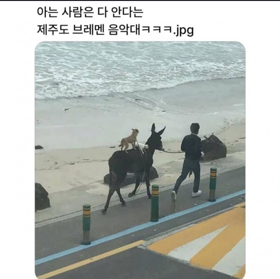 900w_20250815045012_fAQswBXvGt.jpeg?v=7