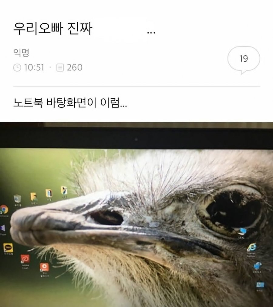 900w_20250815163416_zX9TKelv3X.png?v=7