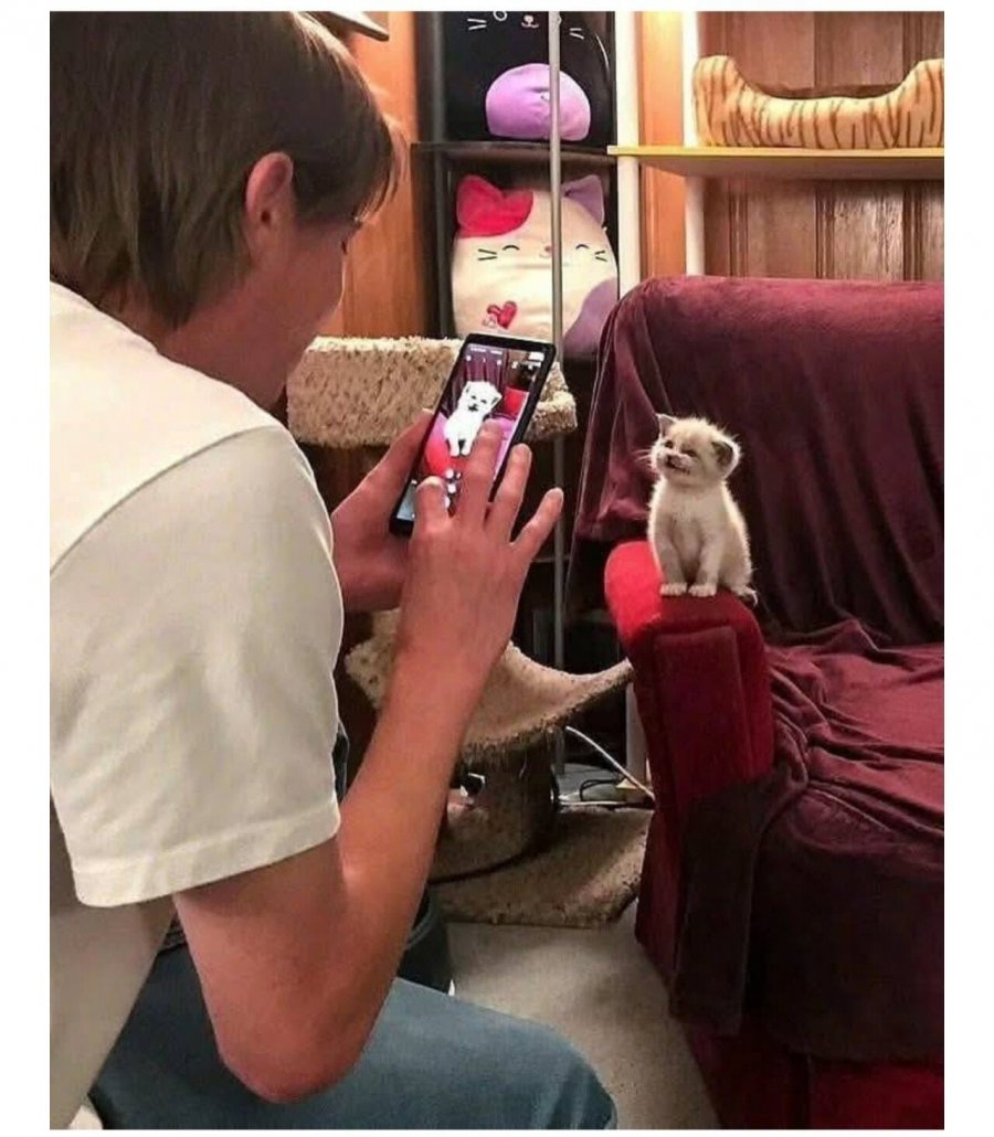 900w_20250815230911_usbJKIejDa.jpeg?v=7