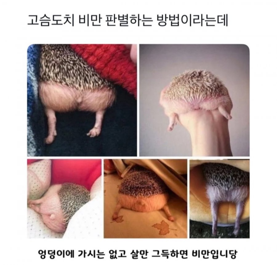 900w_20250817075655_MhuhIorEfY.png?v=7