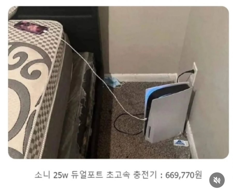 900w_20250818144601_MSAj7wKBmV.jpeg?v=7