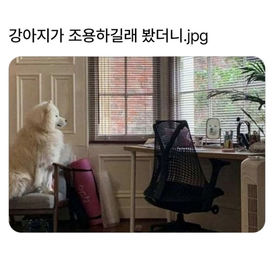900w_20250820125531_qTLkysgKES.jpeg?v=7