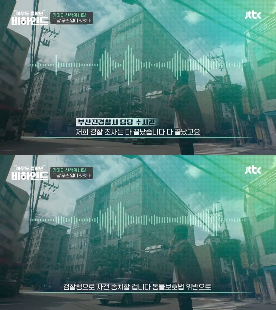 900w_20250822215501_zUPNEwzfUf.jpg?v=7