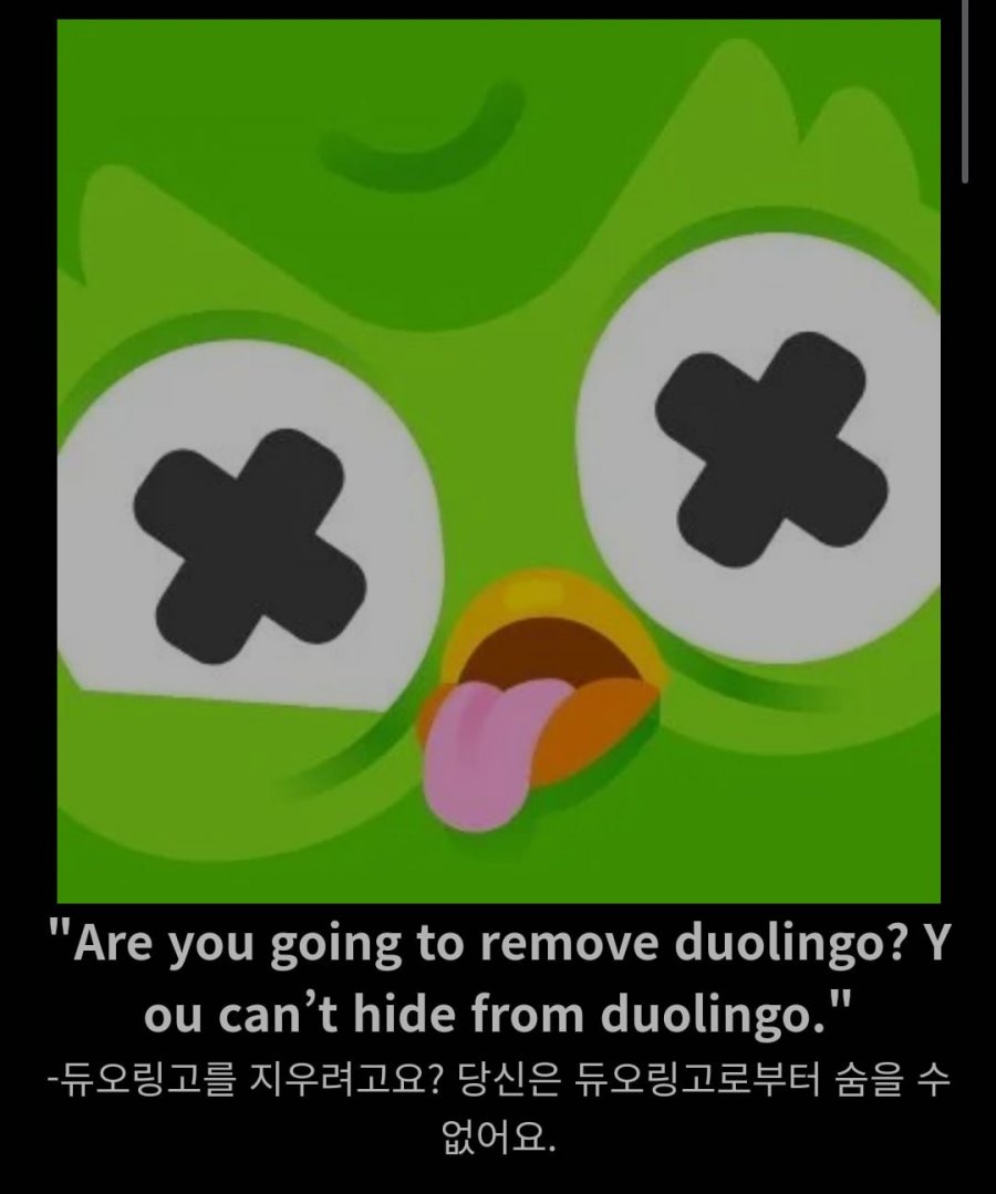 900w_20250824142944_4eQhuu61vN.png?v=7