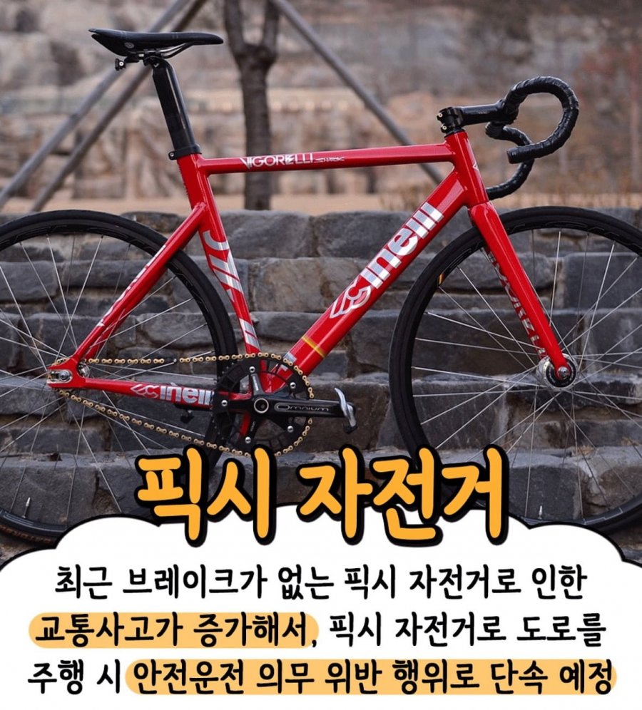 900w_20250825155755_uocq77Sz7m.jpeg?v=7